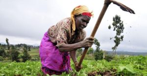 Food Insecurity and Waste The Paradox in Ghana Elvis Ampoh